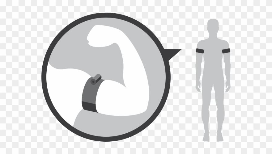 Belt Placement Is Critical, Only Put High Up On Arms Clipart