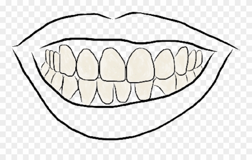 Free Png Download Outline Image Of Teeth Png Images - Line Art Clipart