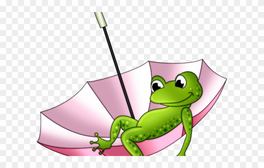 Toad Clipart School - Tubes Grenouille Png Transparent Png