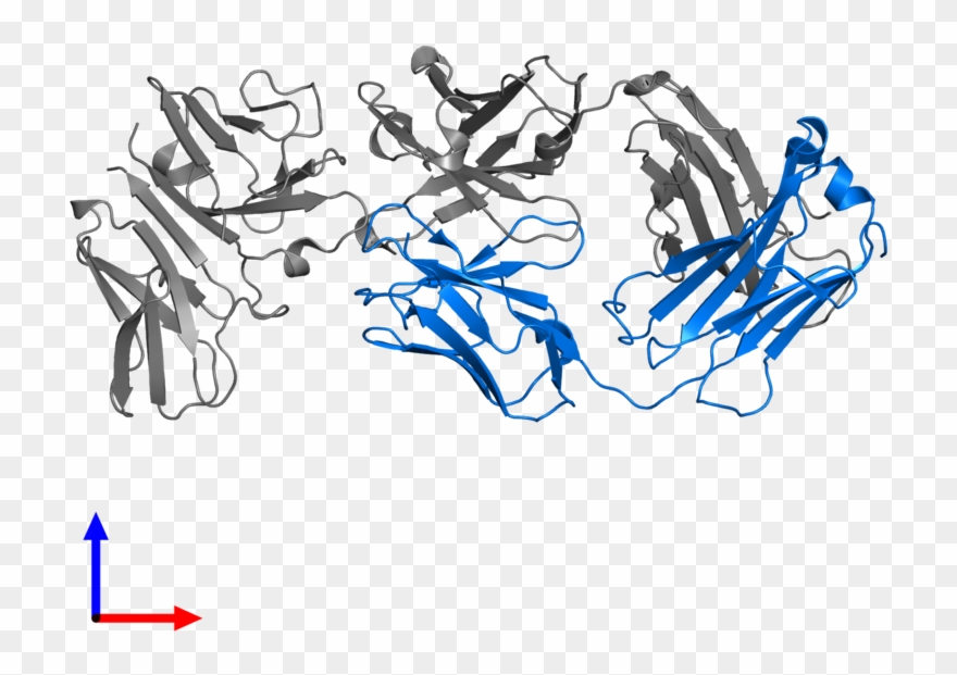 <div Class='caption-body'>pdb Entry 1sy6 Contains 1 - Illustration Clipart