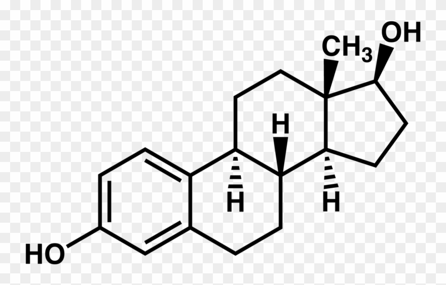 Http - //www - Rawforestfoodsblog - Com/wp Estradiol2 - Steroids Structure Clipart