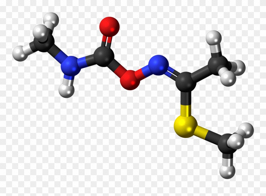 -methomyl Molecule Ball - M Xylene Ball And Stick Clipart