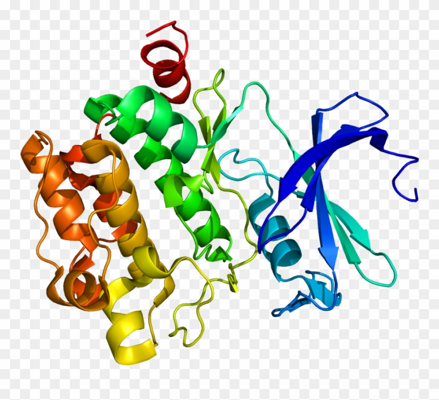 Pim 1 Protein Clipart