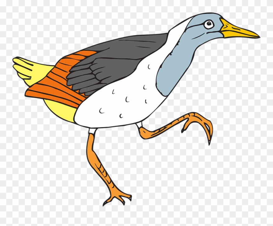 Bird, Wings, Walking, Feathers, Species, Grouse - Grouse Clip Art - Png Download