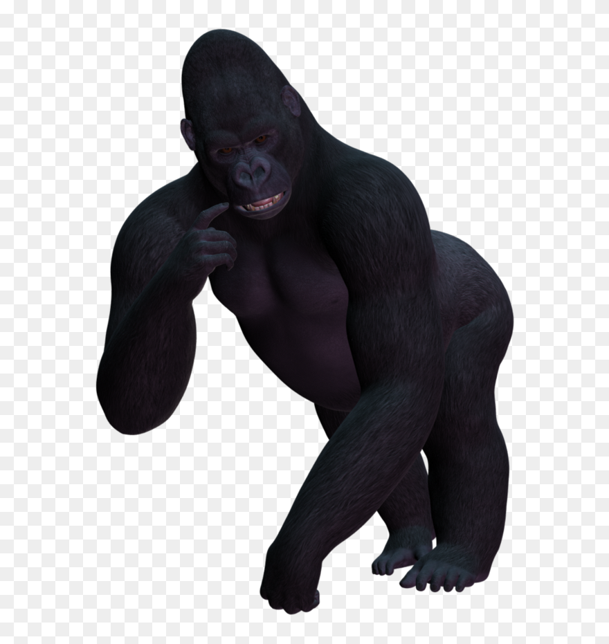 Gorilla Png Image - Gorilla Transparent Clipart