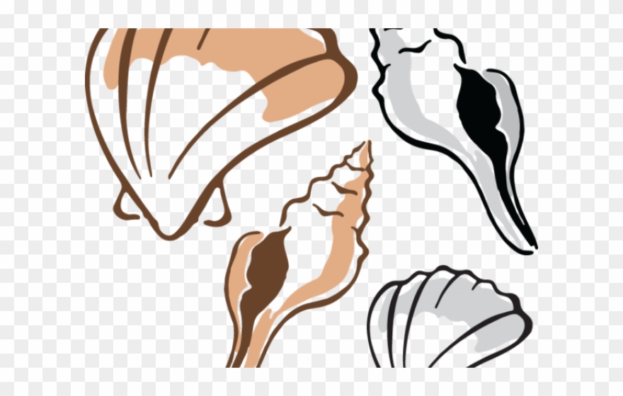Clams Clipart Shell Fish - Clip Art - Png Download