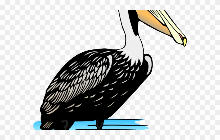 Pelican Clipart Brown Pelican - Pelican Clip Art - Png Download