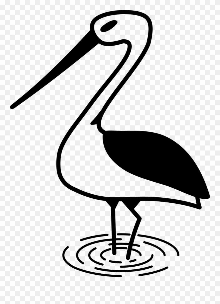 Stork Bird Nature - Stork Clipart
