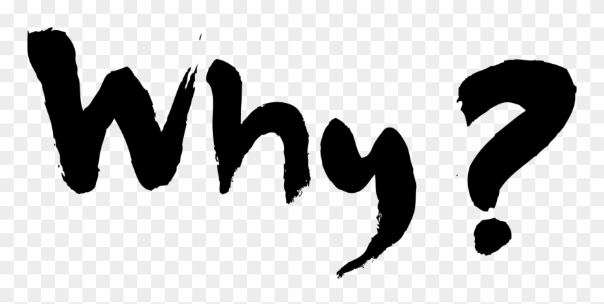 Why - What's Your Why Png Clipart
