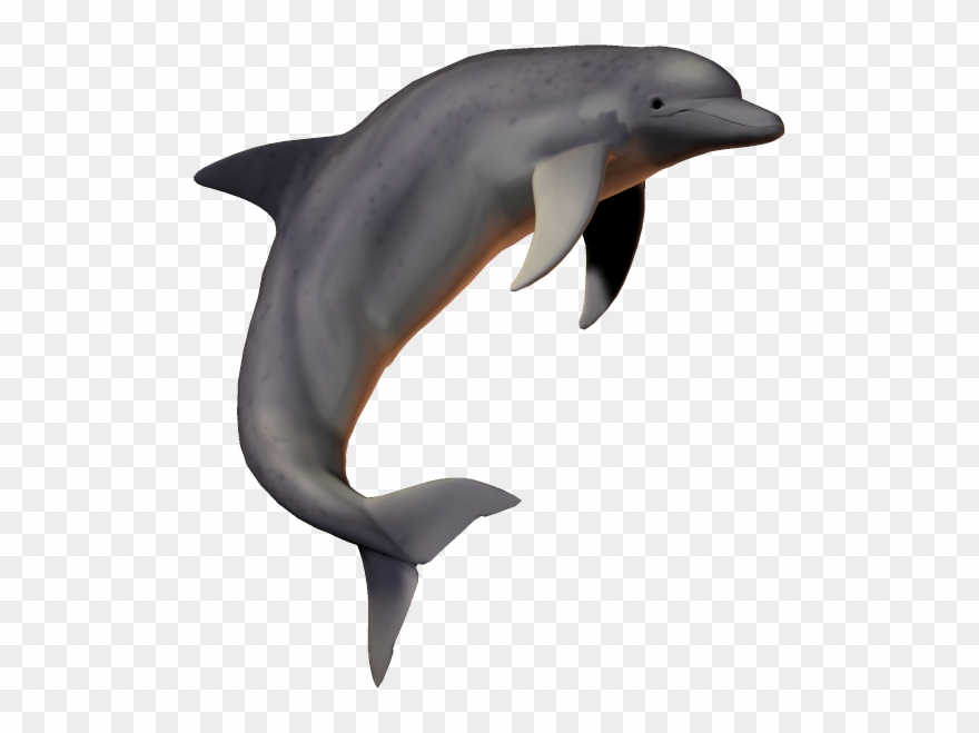 Dolphin Free Png Transparent Background Images Free - Fish Png Picsart Clipart