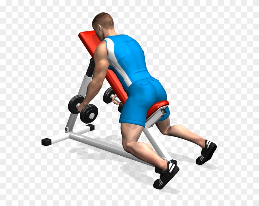 Bent Over Dumbbell Lateral Raise Alzate A 90 Su Panca Clipart 3565848 Pinclipart
