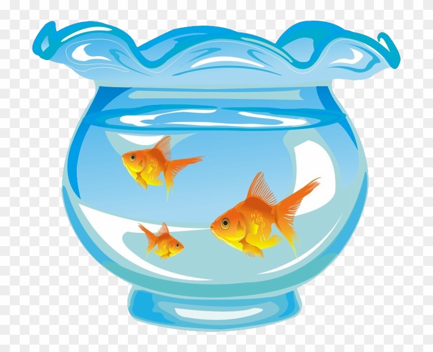Aquarium Png Clipart