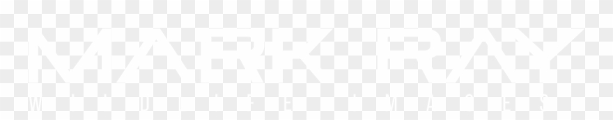 Transparent Ps4 Logo White Clipart