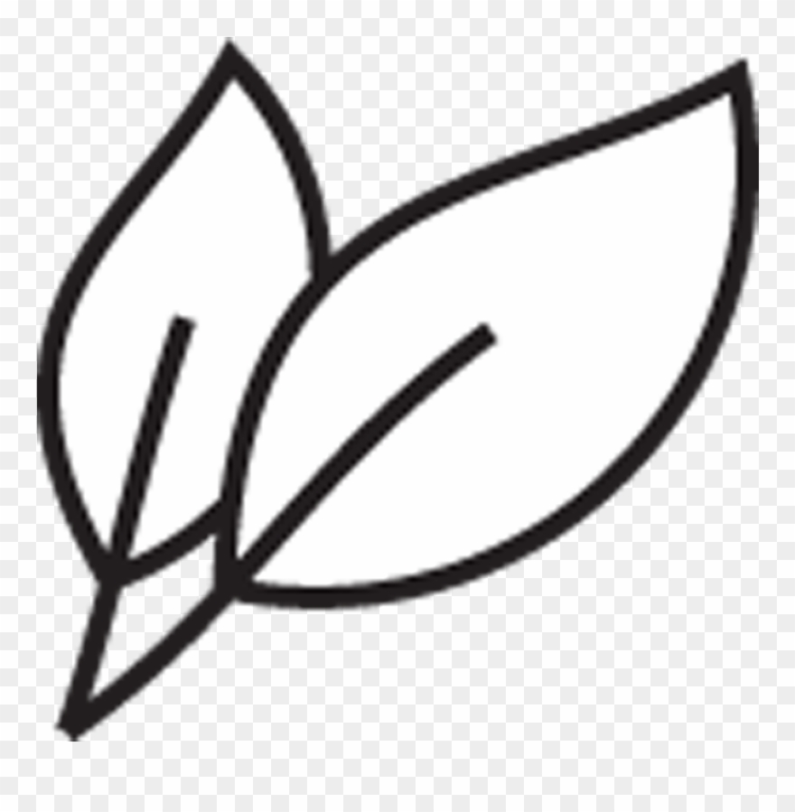 Pfoa Free - Line Art Clipart