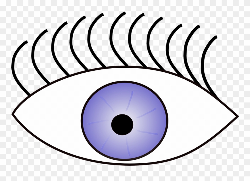 Clipart Of Vision, Eye The And Sense Sight View - Clipart Look - Png Download