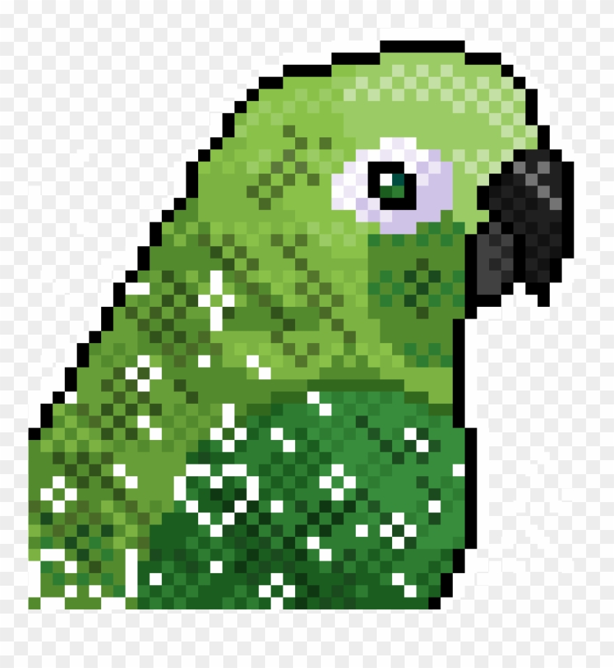 1200 X 1200 2 - Green Cheeked Conure Art Transparent Clipart