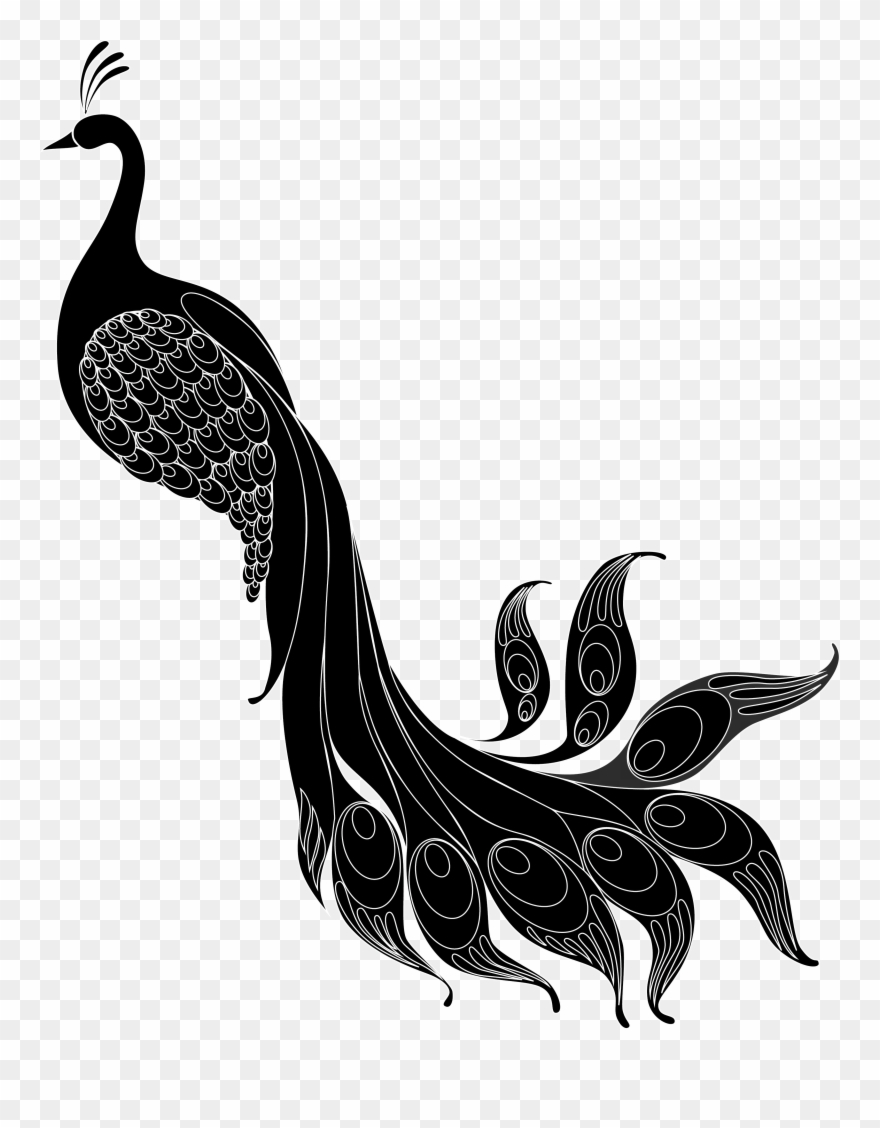 Pheasant Vector Abstract - Illustration Clipart