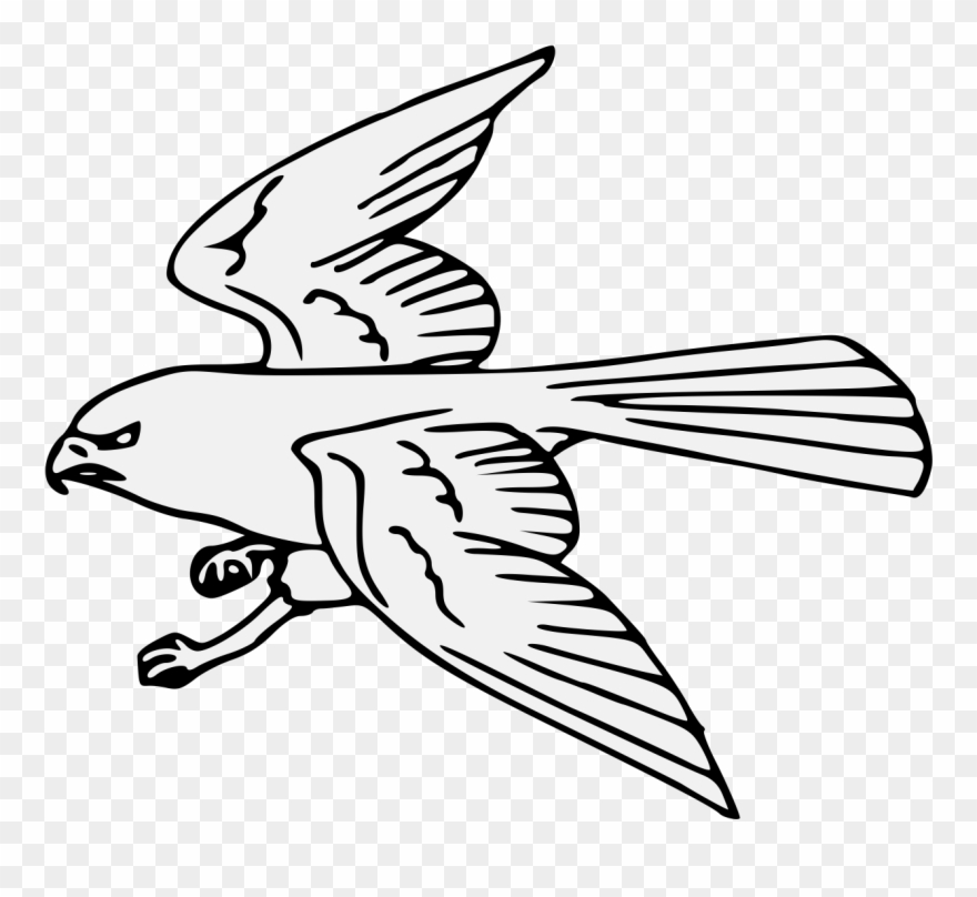 Bird Volant - Vaux S Swift Clipart