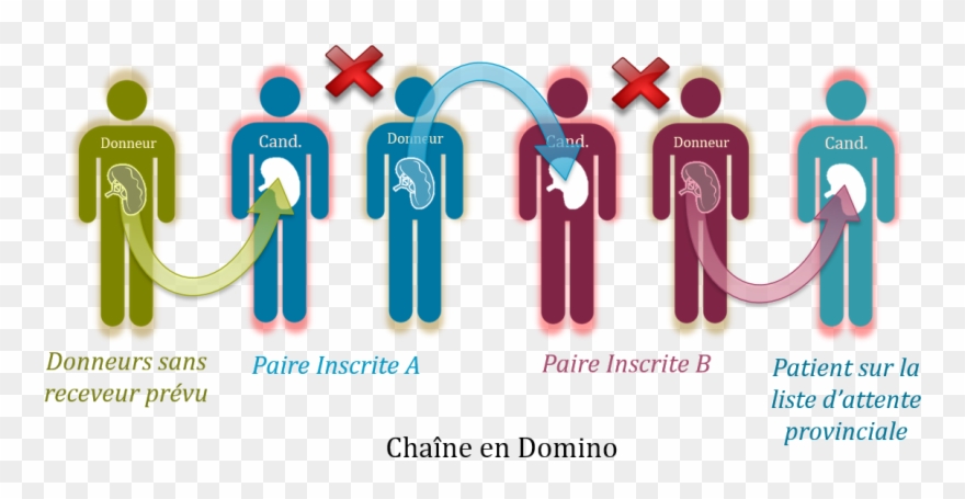Domino Chain Cand Finalfr - Find The Right People Clipart