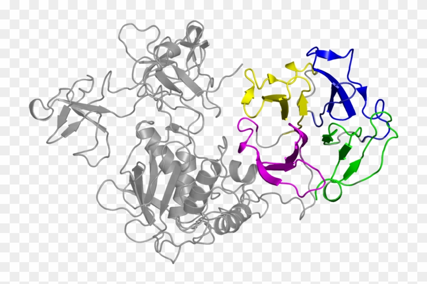 <div Class='caption-body'>4 Copies Of Pfam Domain - Illustration Clipart