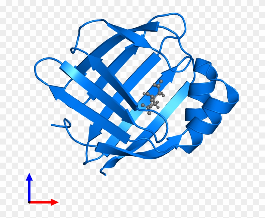 <div Class='caption-body'>pdb Entry 5gge Contains 1 - Graphic Design Clipart