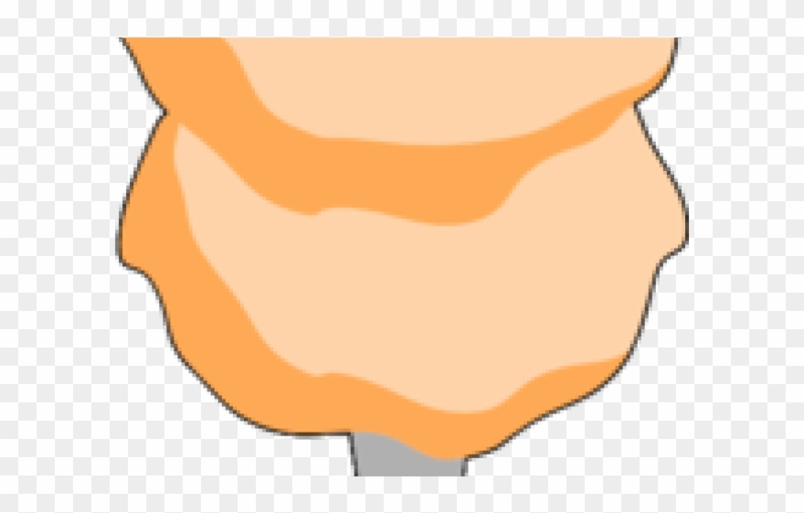 Cotton Clipart Transparent - Taller 5 - Png Download