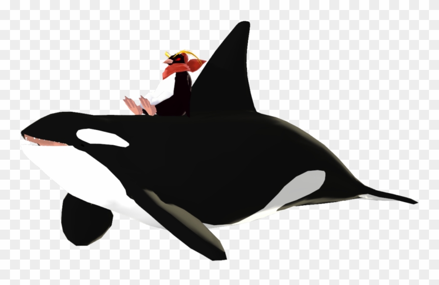 Wow Animal Planet - Killer Whale Clipart