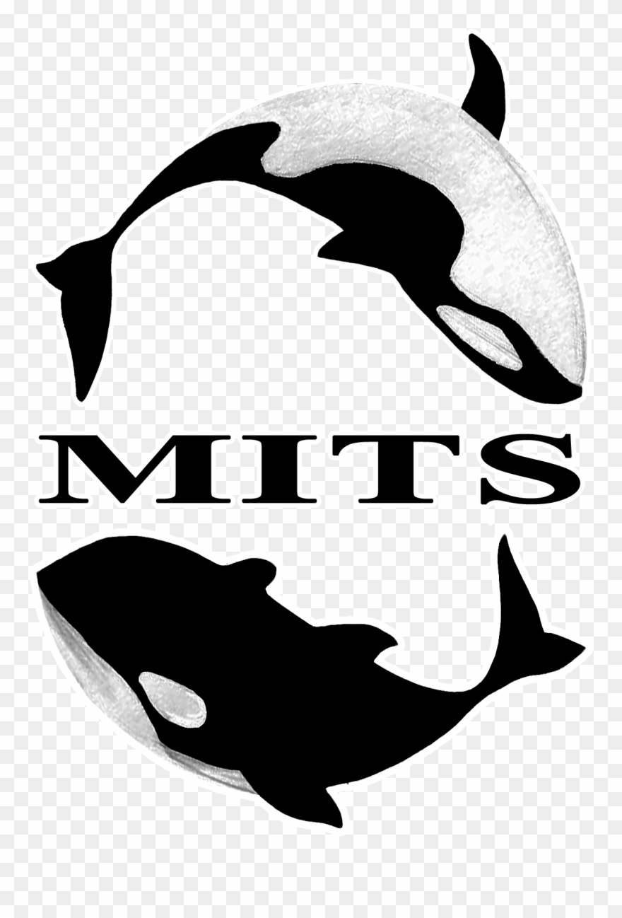 Dolphins Snorkeling Clipart