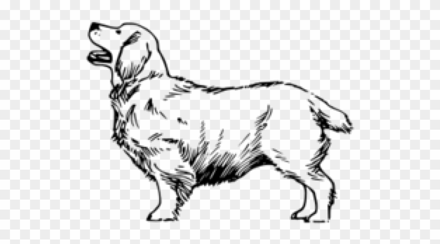 Mammal Clipart Black And White - Phonics Worksheet Word Search - Png Download