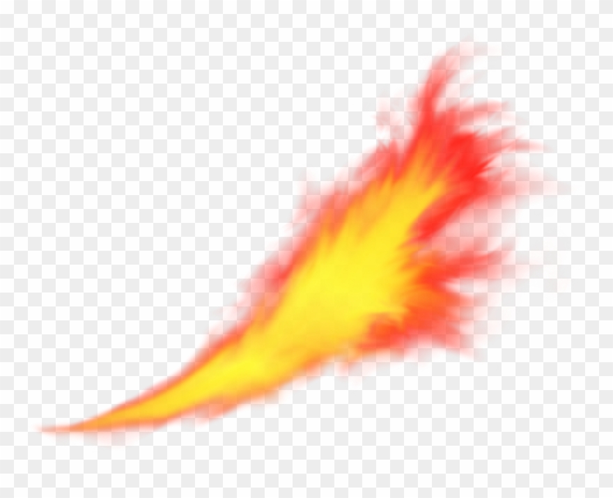 Free Download - Macro Photography Clipart