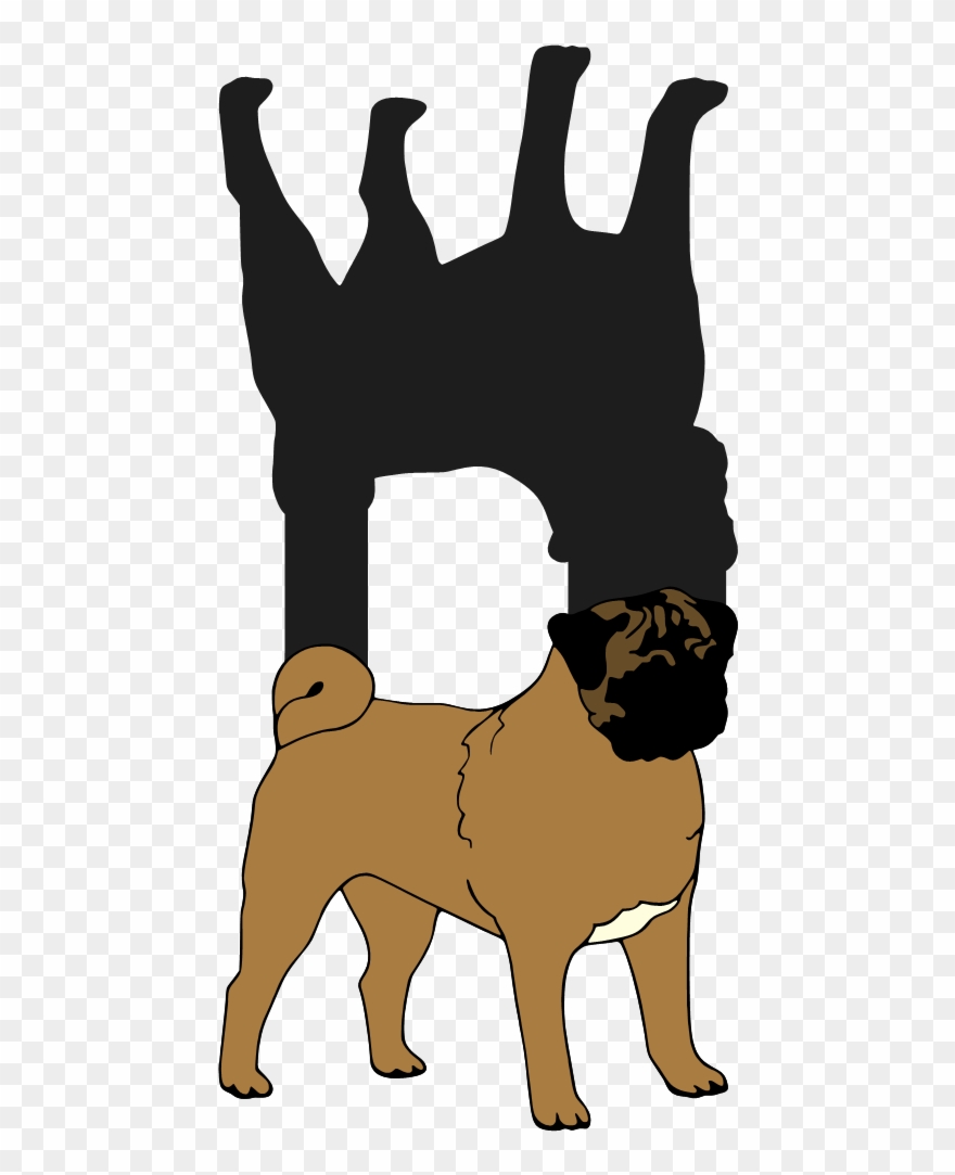 Pug Card By Request - Ancient Dog Breeds Clipart