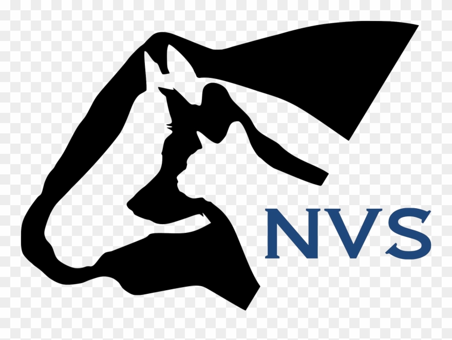 Small Animal - Graphic Design Clipart