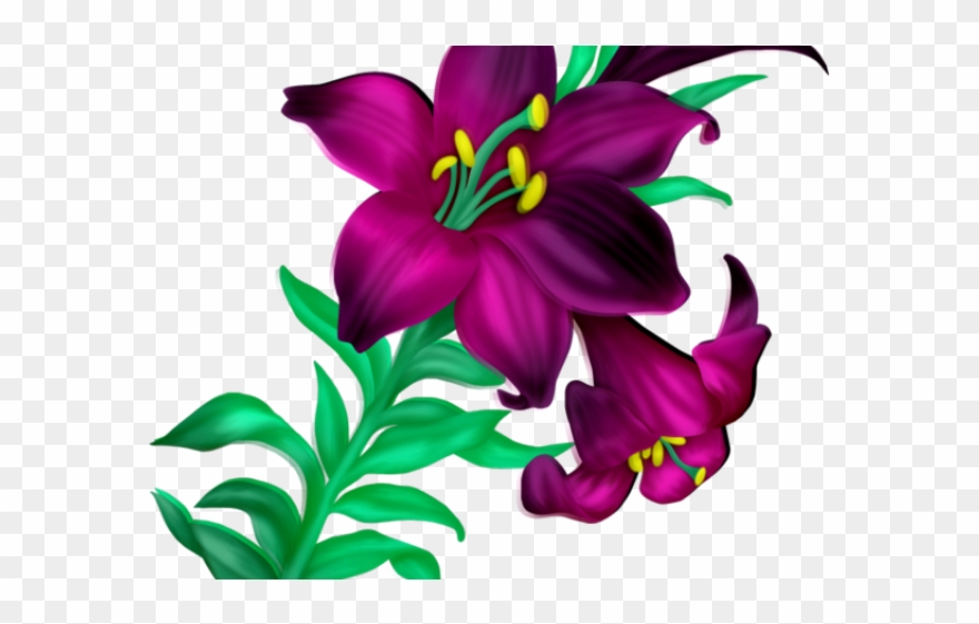 Lily Clipart Violet - Beautiful Flowers Clipart - Png Download