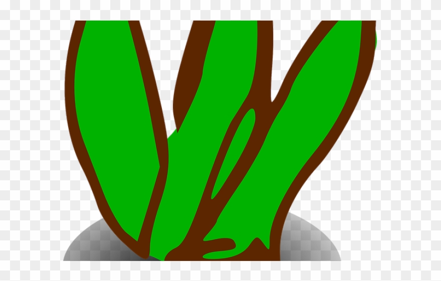 Bush Clipart Botany - Png Download