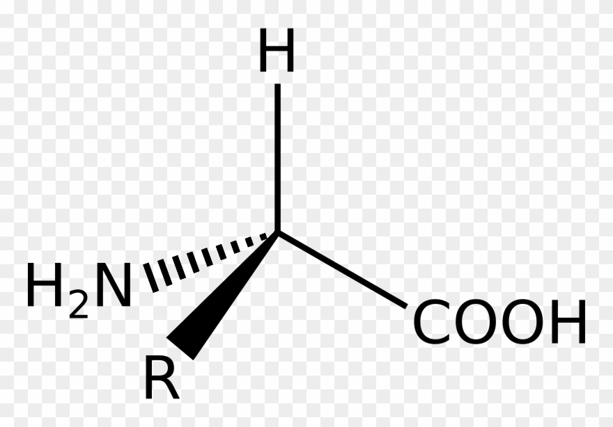 Medium Image - Molar Mass Of Oxalic Acid Clipart