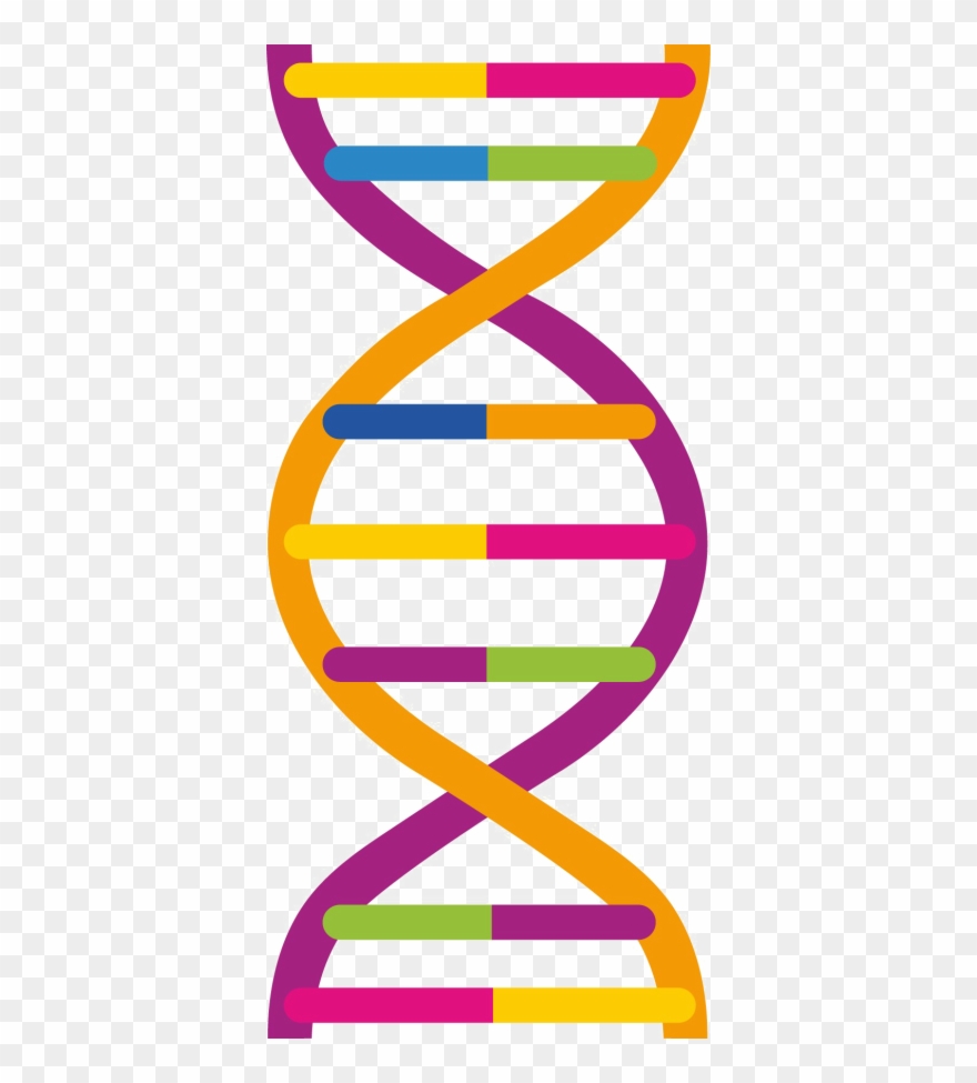 Dna Png Pic - Dna Png Clipart