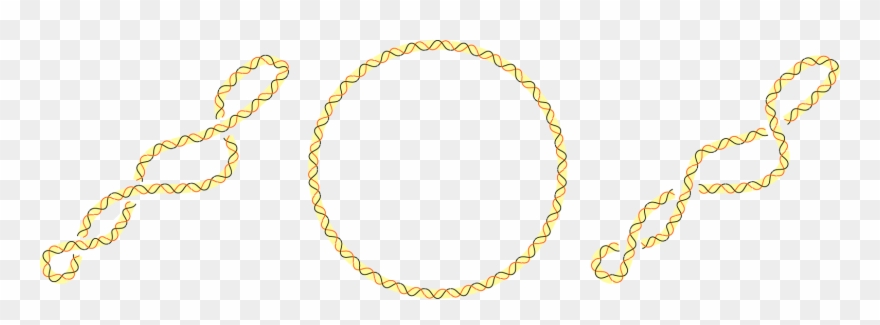 Dna Topoisomers - Surenroulement Adn Clipart