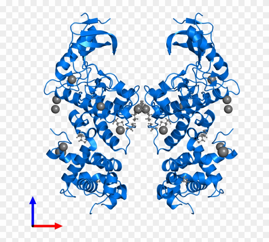 <div Class='caption-body'>pdb Entry 5hgi Contains 2 Clipart