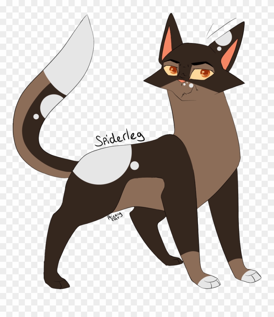 Spiderleg Cat Design, Warrior Cats, Warriors, Military - Cartoon Clipart
