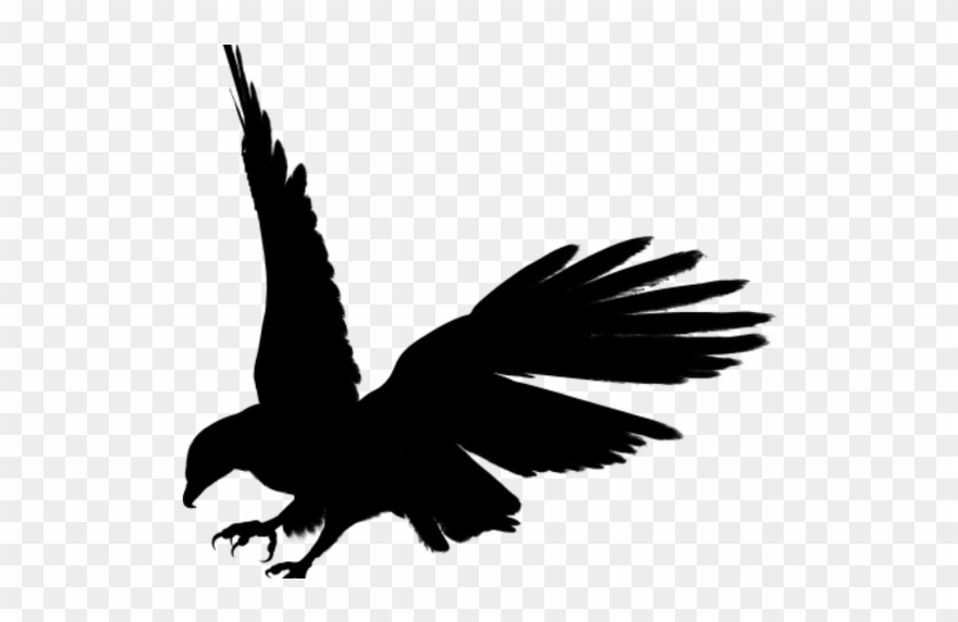 Free Flying Hawk Clipart, Download Free Clip Art, Free - Black Eagle Png Transparent Png