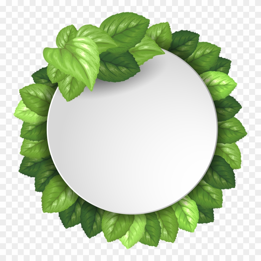 Фото, Автор Soloveika На Яндекс - Green Circle Banner Clipart