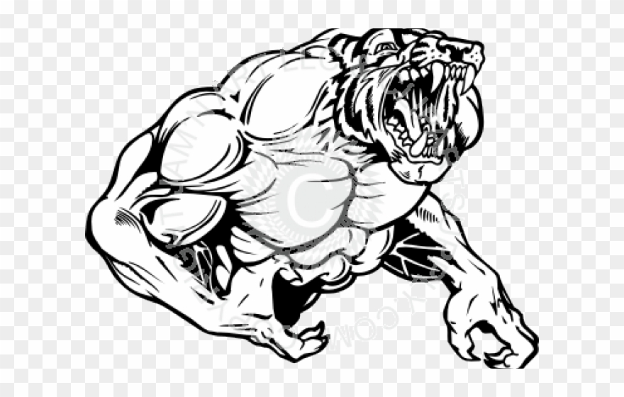 Tiger Clipart Muscle - Muscle Tiger - Png Download