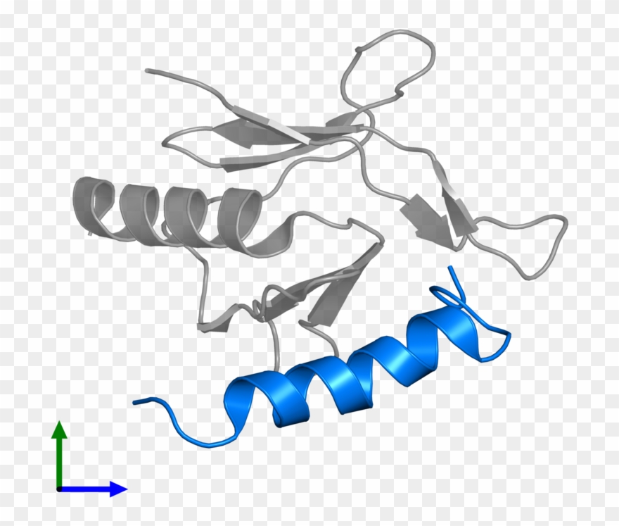 <div Class='caption-body'>pdb Entry 2mwn Contains 1 - Illustration Clipart