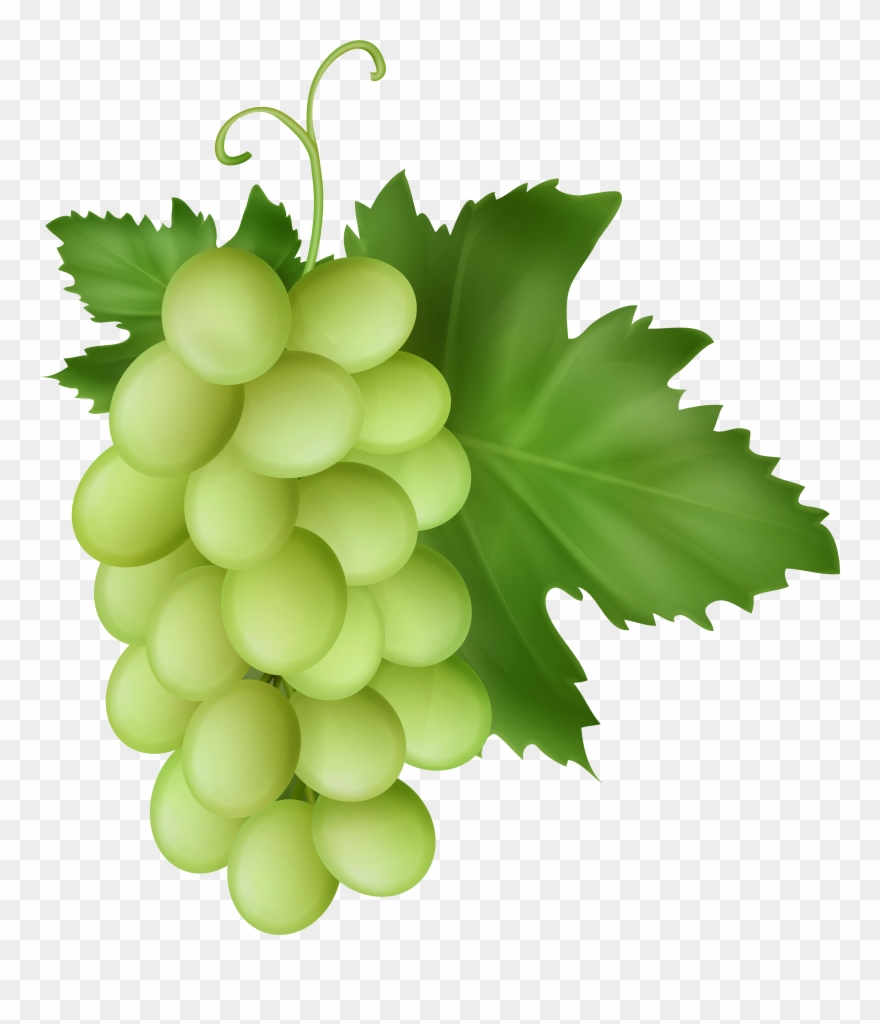 White Grapes Transparent Image - Seedless Fruit Clipart