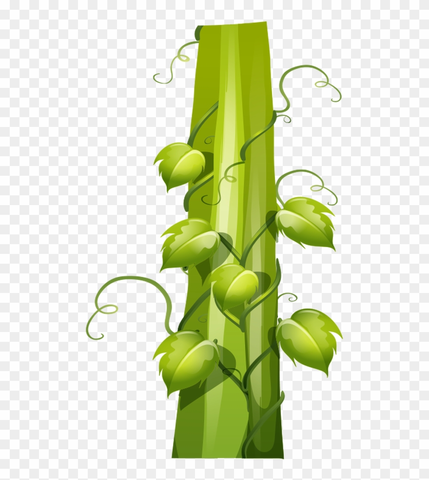 Beanstalk - Illustration Clipart