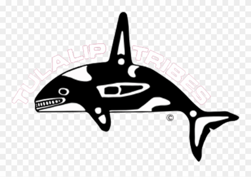 Clients Innovision Marketing Group The Anti Agency - Tulalip Tribes Of Washington Clipart