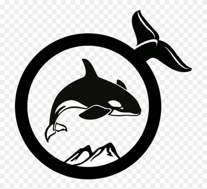 Pin Orca Clipart Black And White - Orca - Png Download