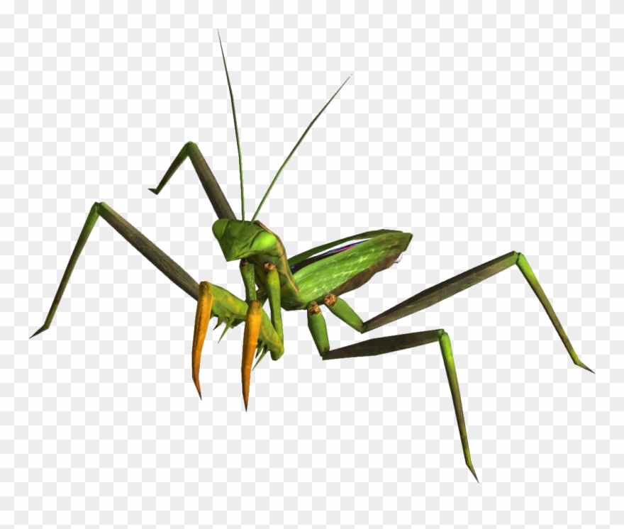 Mantis Png - Fallout New Vegas Mantis Clipart