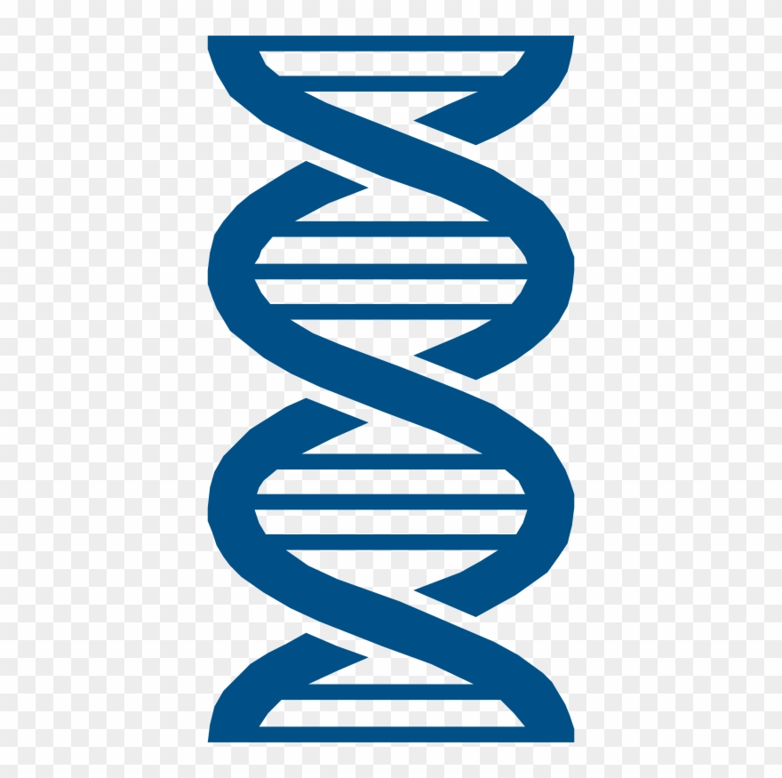 Agile Analytics Big Data Machine Learning Use Ⓒ - Lifescience Icon Clipart