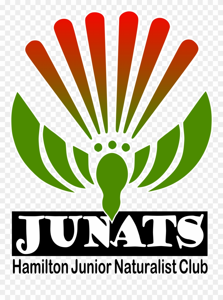Graphic Design Clipart
